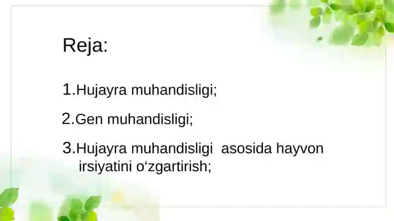 Hayvonlar hujayrasi muhandisligi 2
