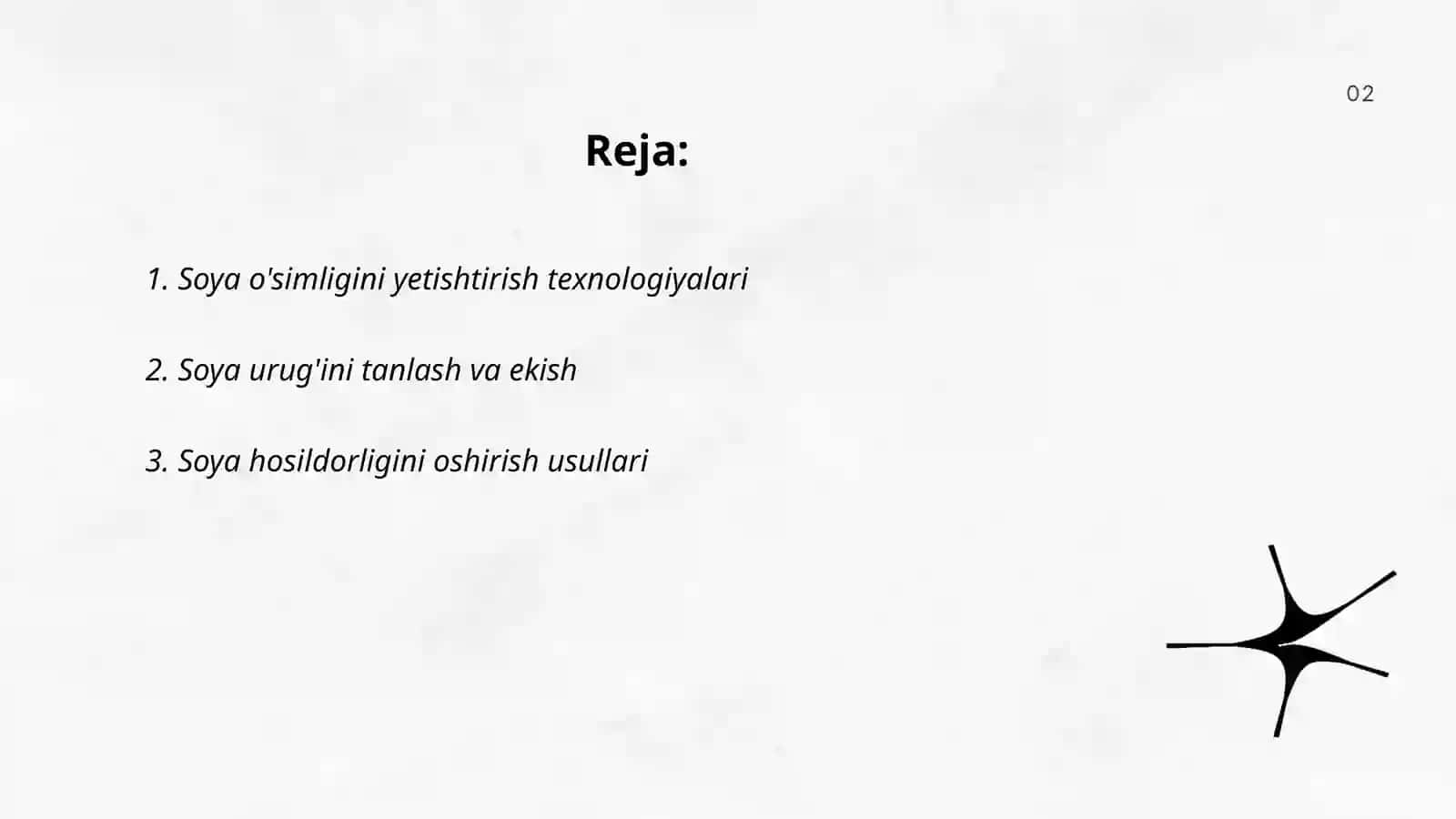 Soya o'simligi 2