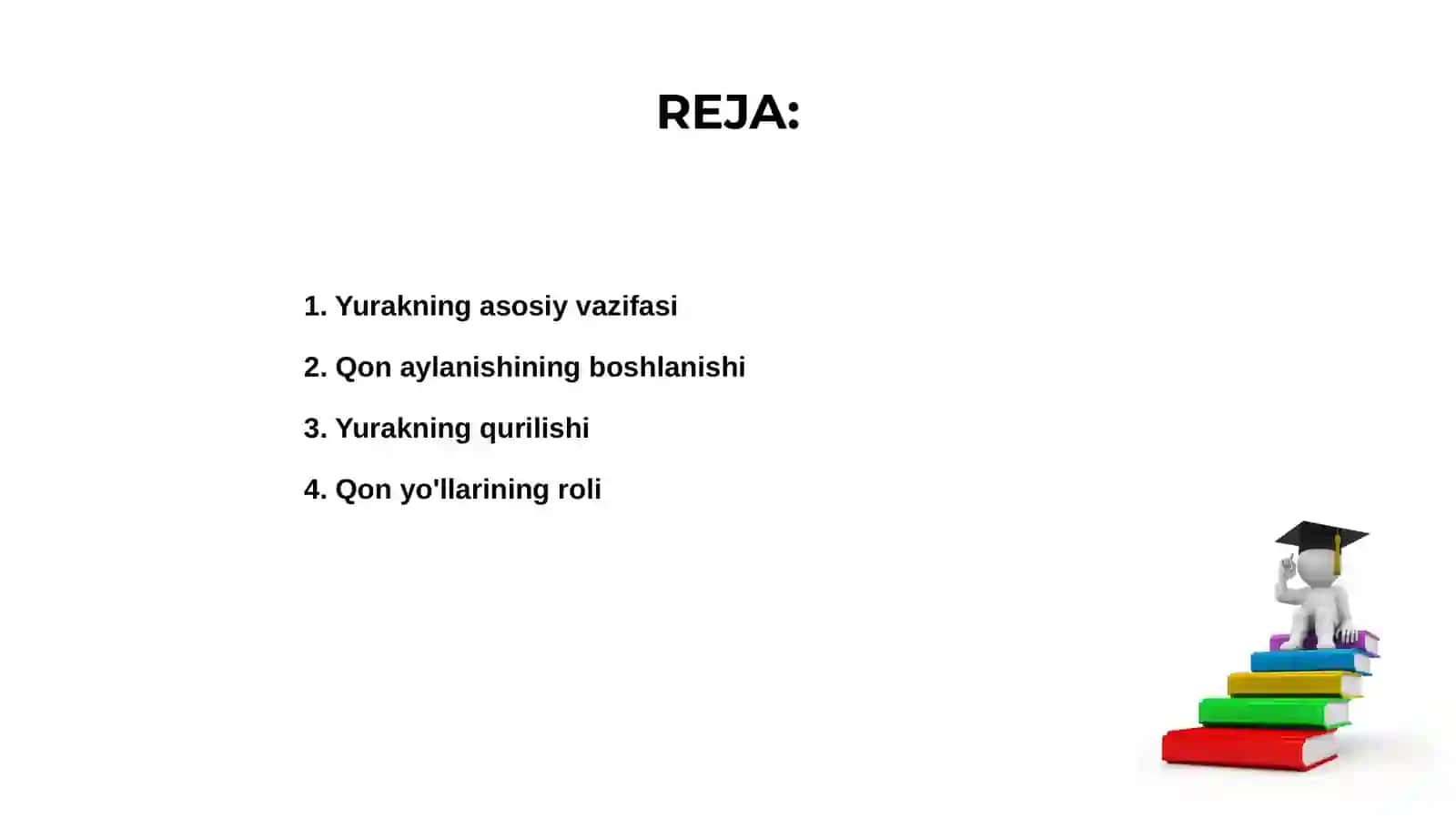Yurakning qon tizimidagi oʻrni 2