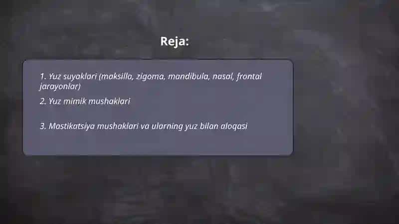 Yuz sohasi anatomiyasi 2