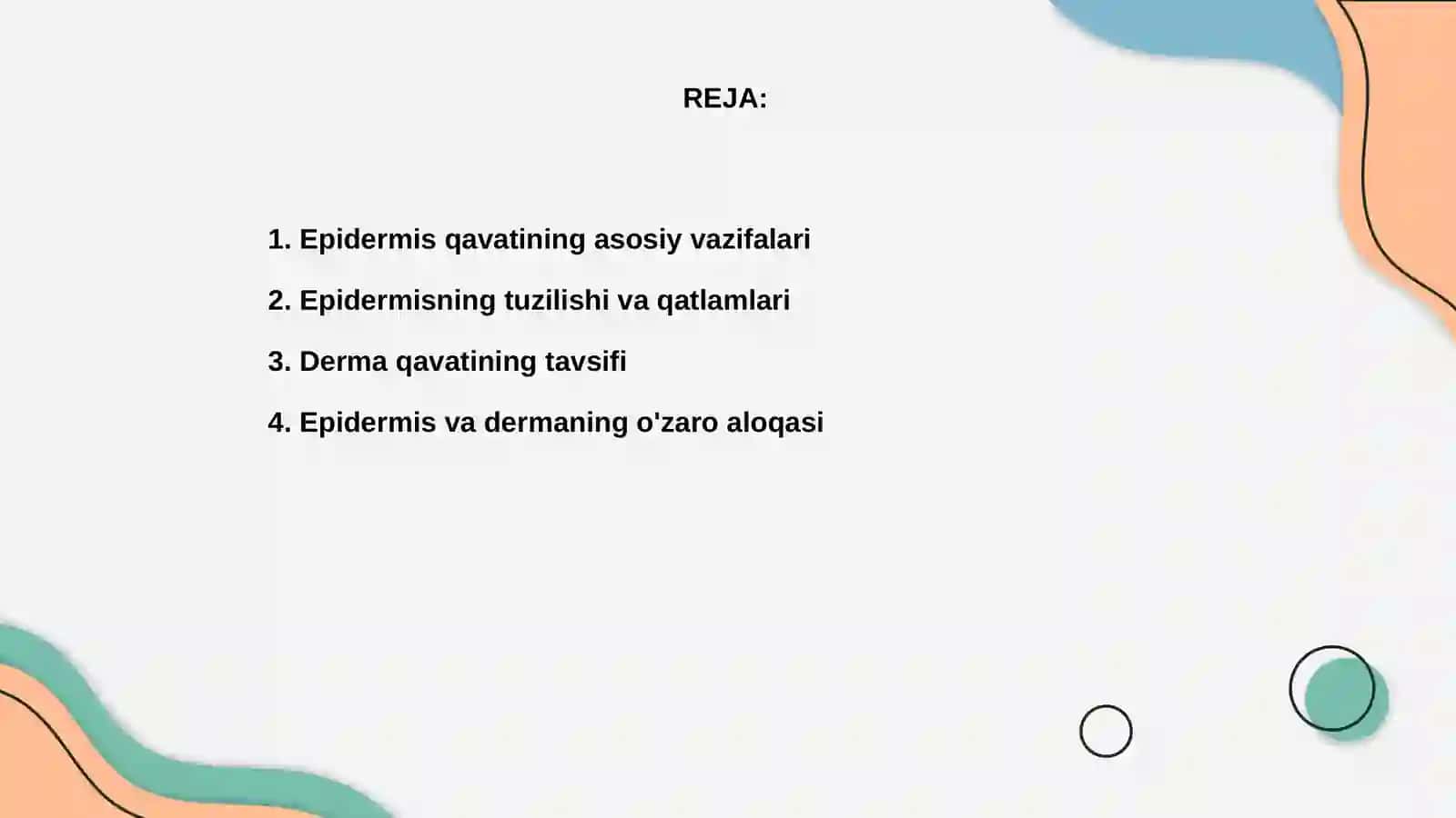 Teri va soch tuzilishi epidermis va derma qavatlari 2
