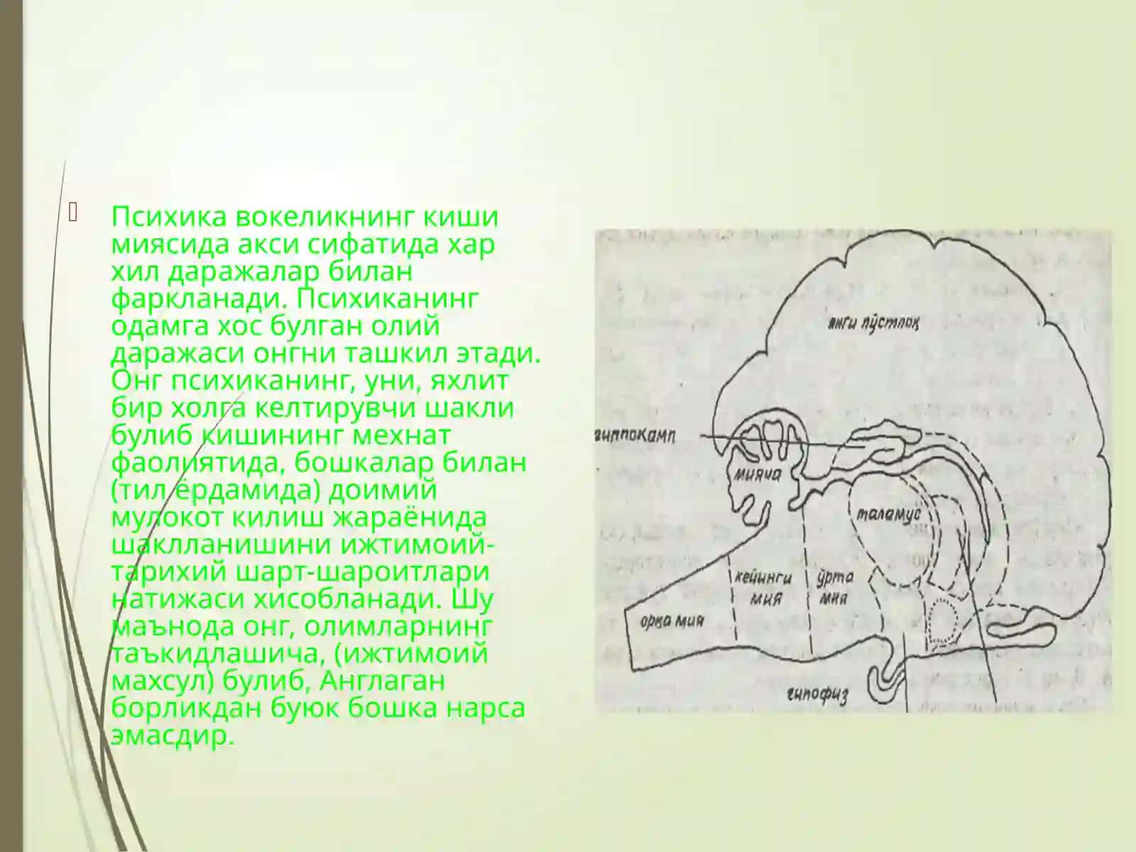 Фалсафий психологик тасаввурлар 2