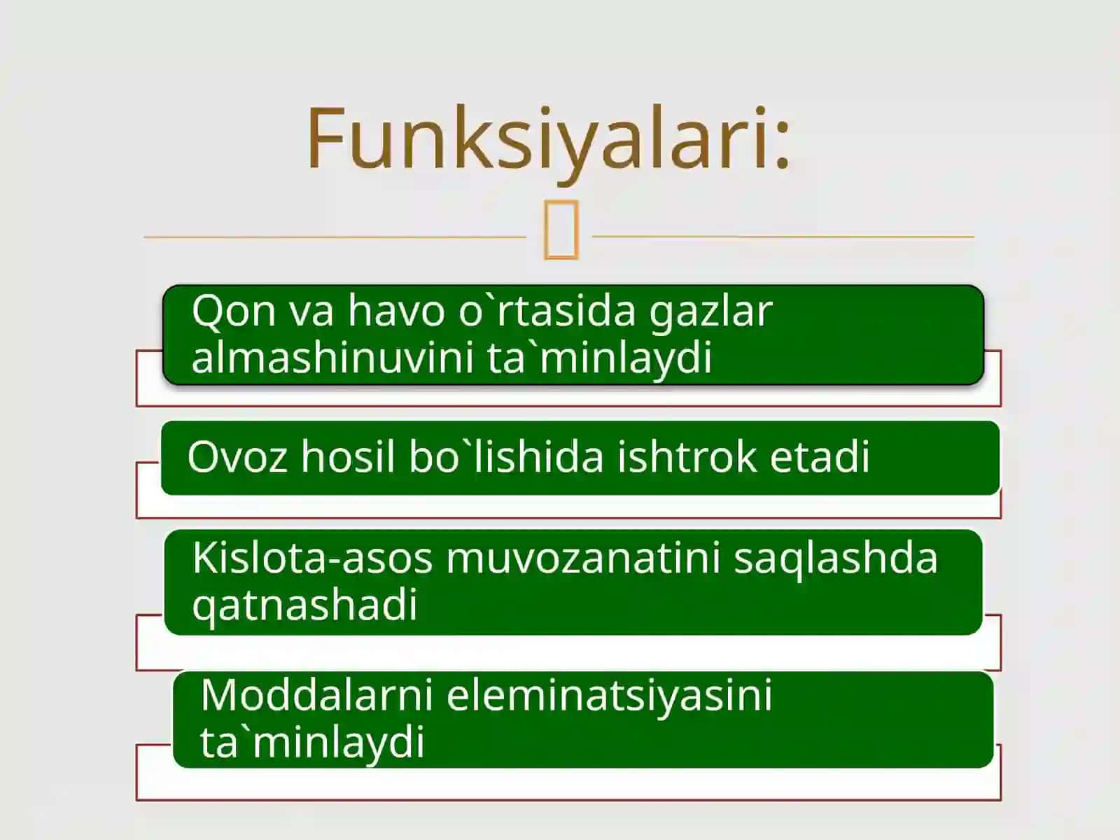Burunbo`shlig`i,hiqildoq,paranazalbo`shliqlar 2