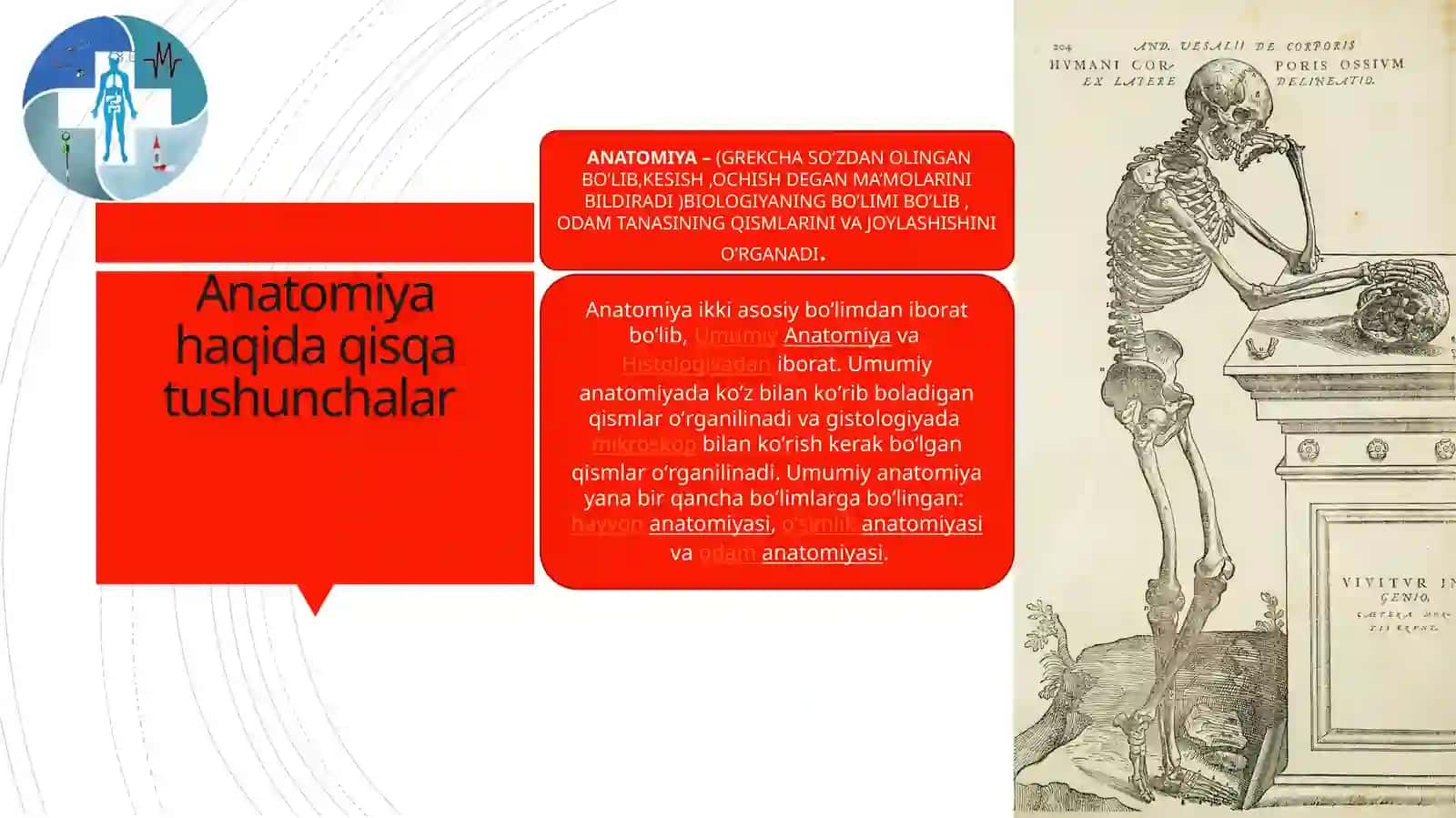 Anatomiya haqida qisqacha maʼlumot 2