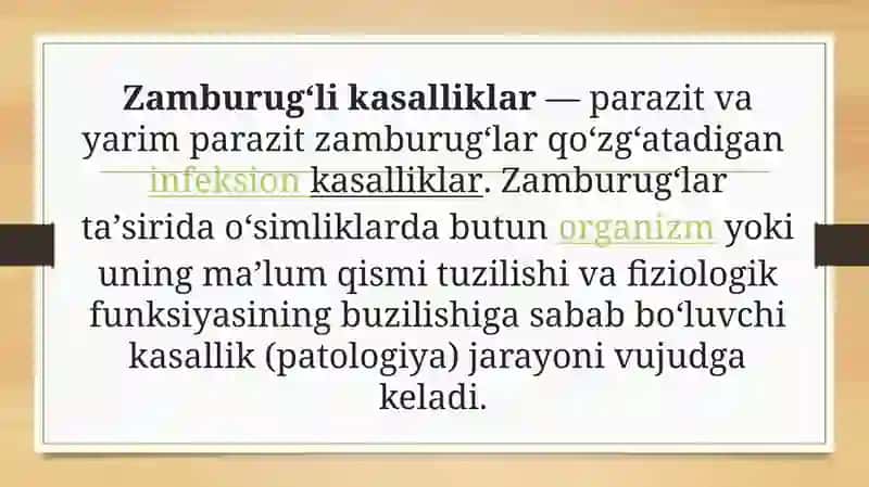Zamburug’ infeksiyasi (kandidoz,aspergillez) 2