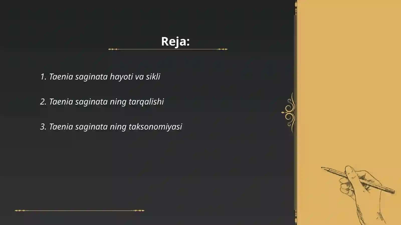 Taenia saginata hayoti va sikli 2