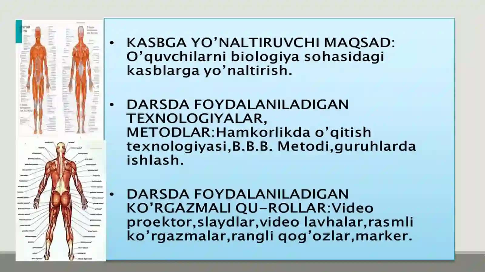 Muskullarning tuzilishi 2