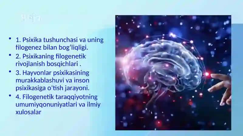 Psixikaning filogenetik taraqqiyoti 2