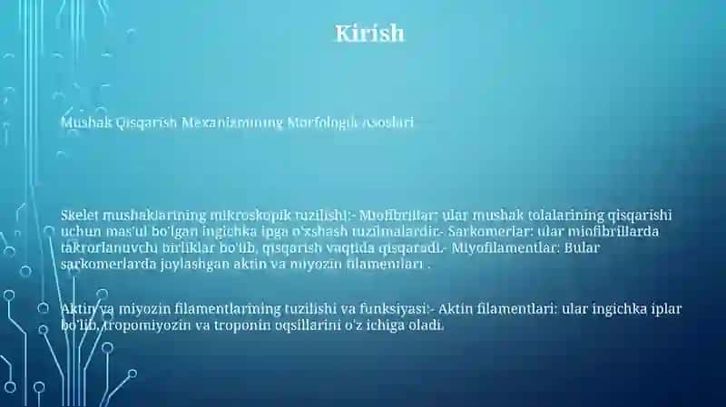 Mushak Qisqarish Mexanizmining Morfologik Asoslari 2