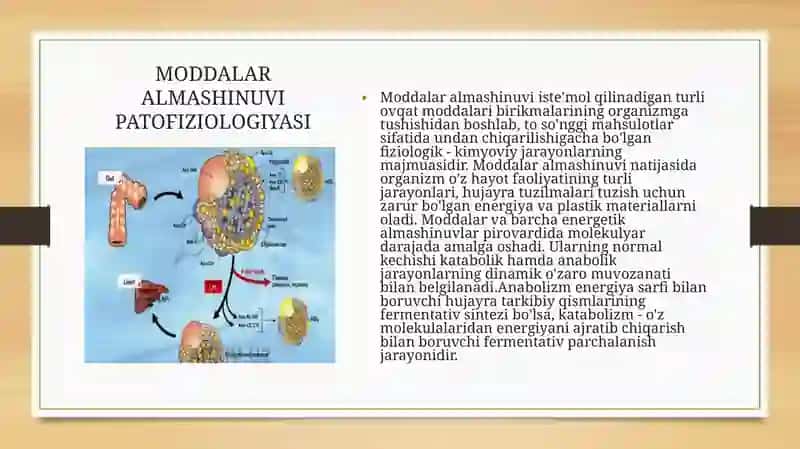 Moddalar Almashinuvi Patofiziologiyasi 2
