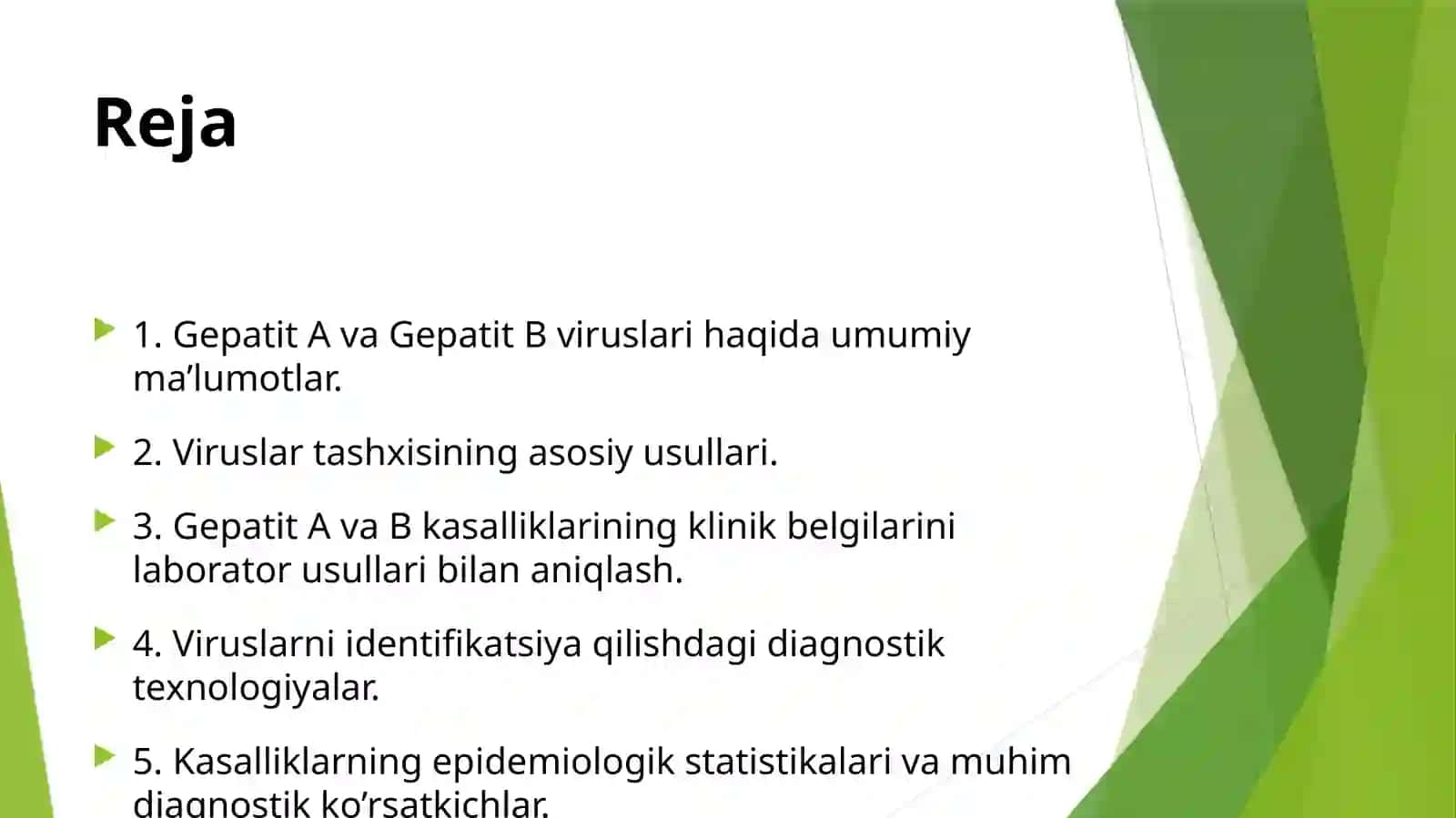 Gepatit A va Gepatit B qo’zg’atuvchi viruslar 2