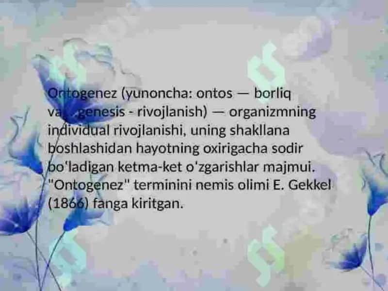 Ontogenez va flogenez haqida tushuncha 2