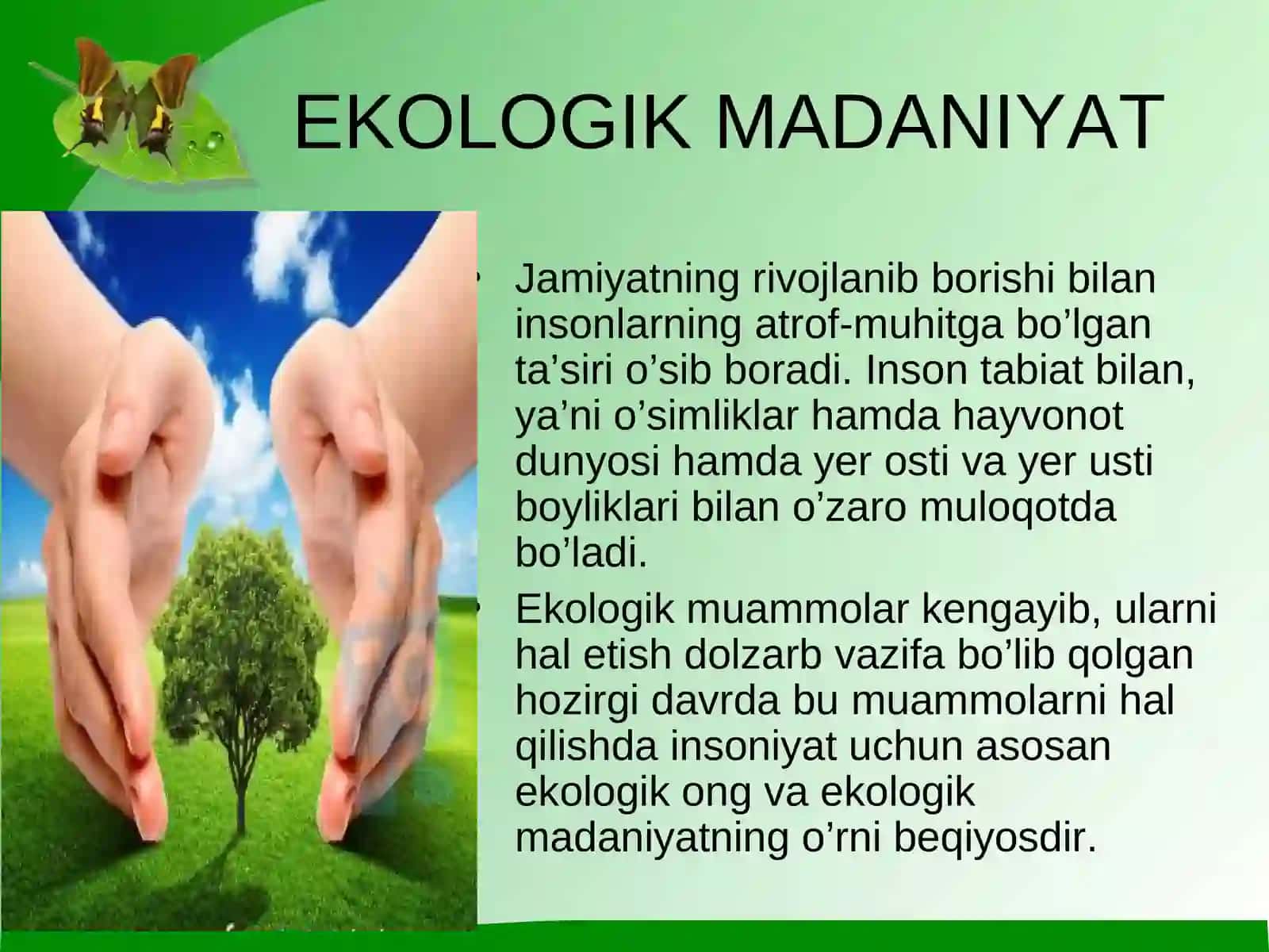 Ekologik tarbiya,ta’lim va madaniyat 2