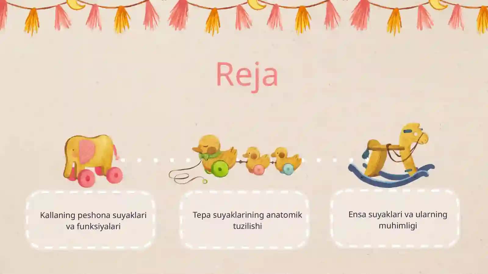 Kallaning peshona, tepa, ensa suyaklari 2