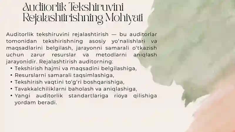 AUDITORLIK TEKSHIRUVINI REJALASHTIRISH 2