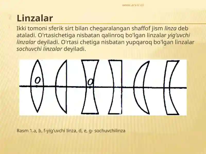 Linzalar 2