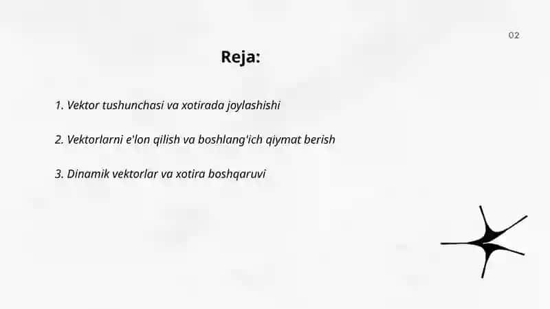 Vektorlarni tashkil etish. Dasturlash 2