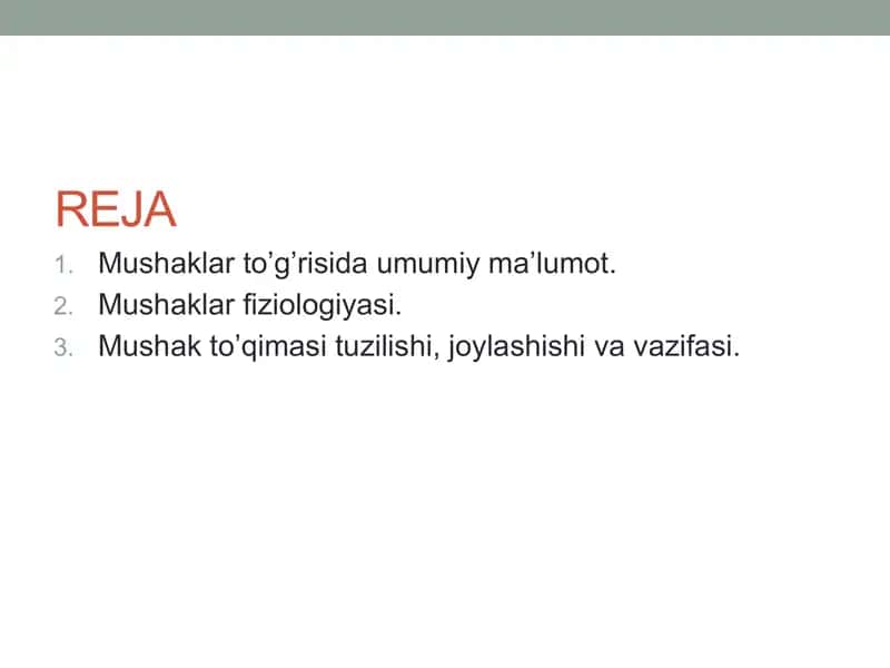 Muskullar haqida ma’lumot 2