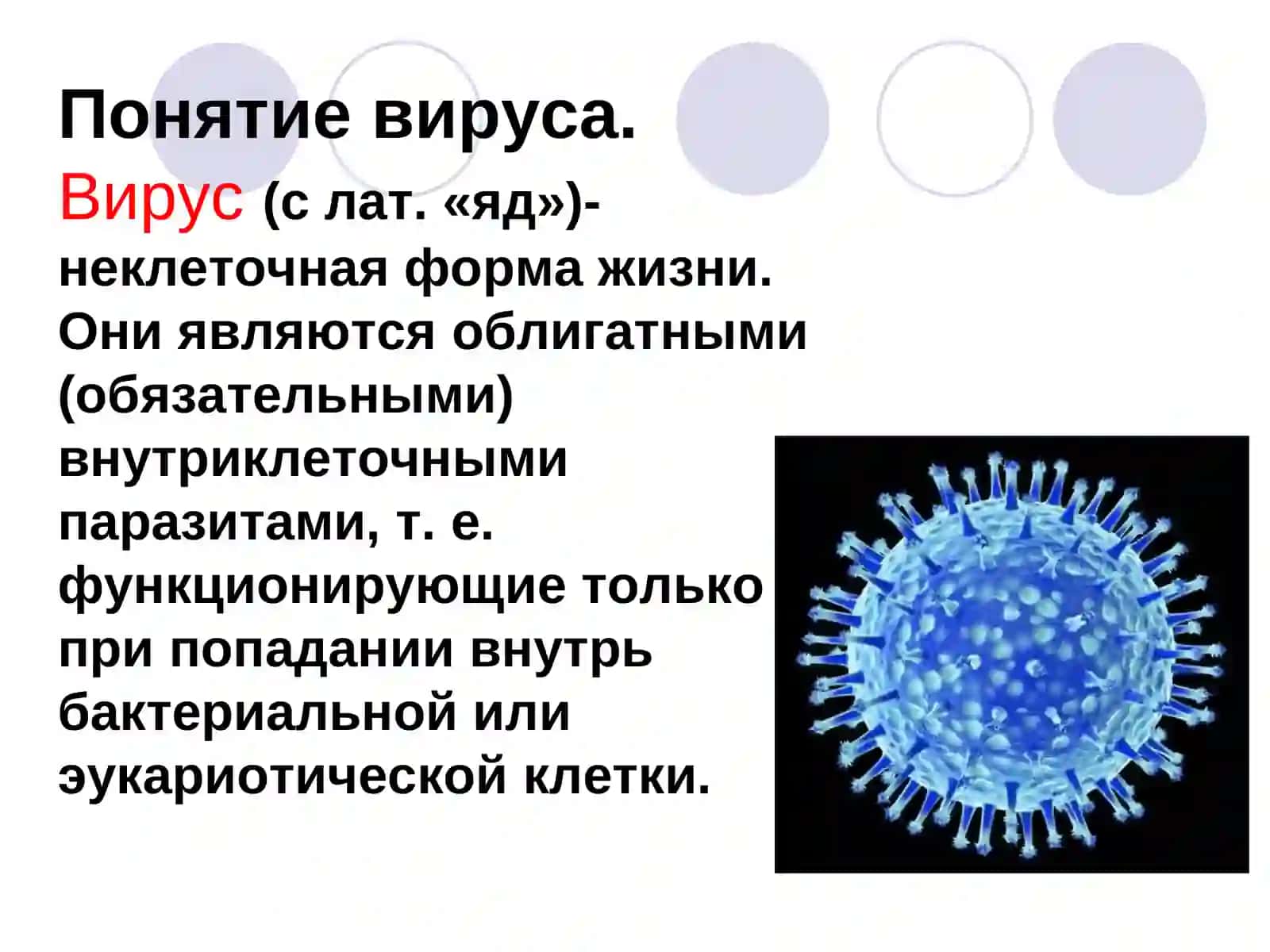 Вирусы.Строение и многообразие 2