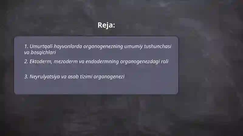Umurtqali hayvonlarda organogenez 2