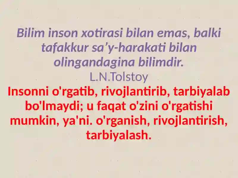 Oʻqish darslarida mustaqil ishlarni tashkil etish 2