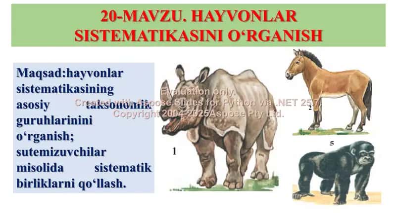 Hayvonlar Sistematikasini O‘rganish 2