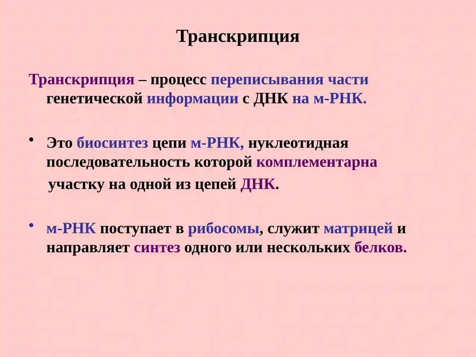 Молекулярная биология 2