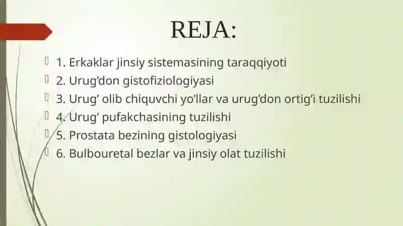 ERKAKLAR REPRODUKTIV SISTEMASI 2