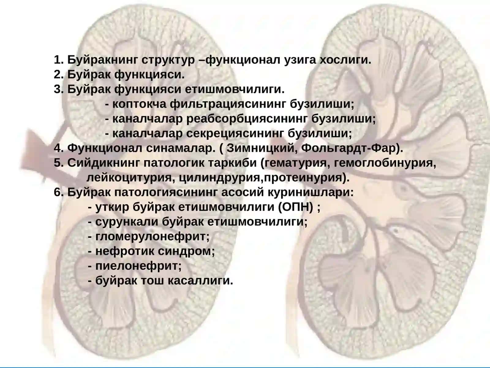 Буйрак патофизиологияси 2