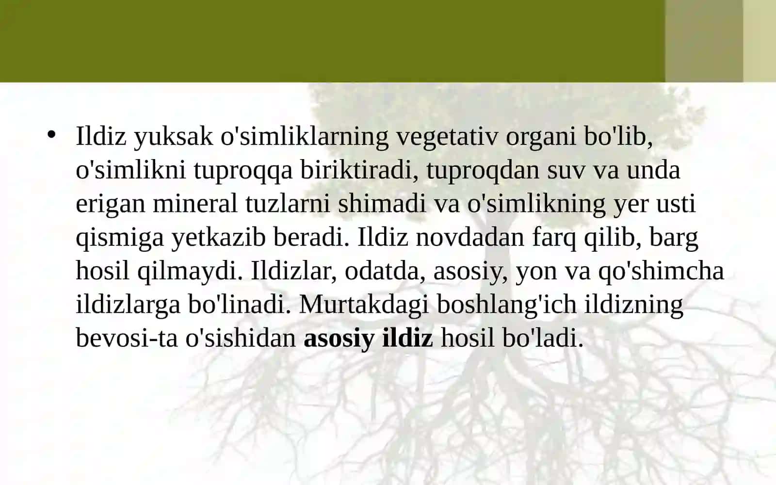 6-sinf Botanika Ildiz turlari va tizimlari 2
