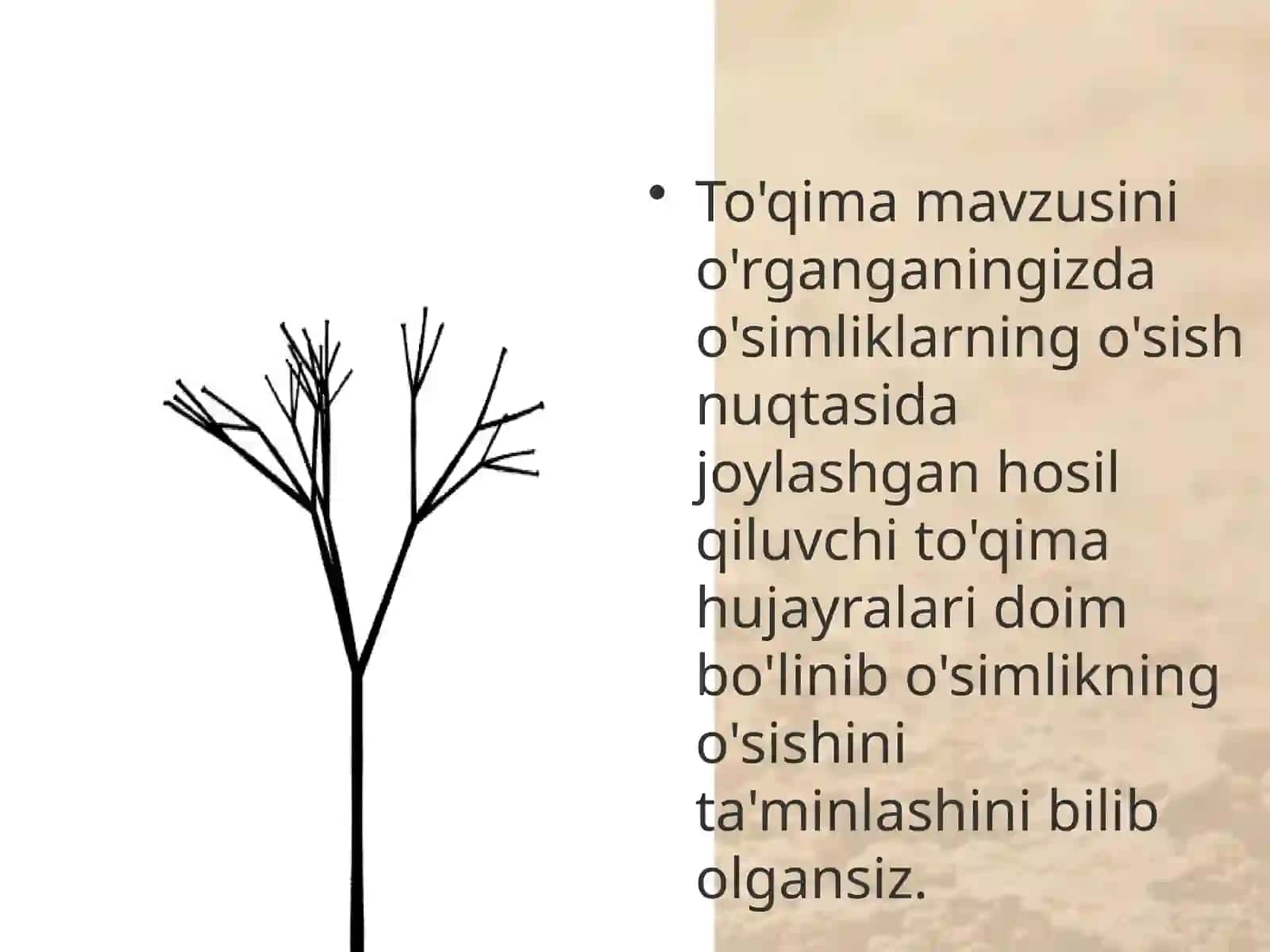 6-sinf Botanika Novda tizimimg shakllanishi 2