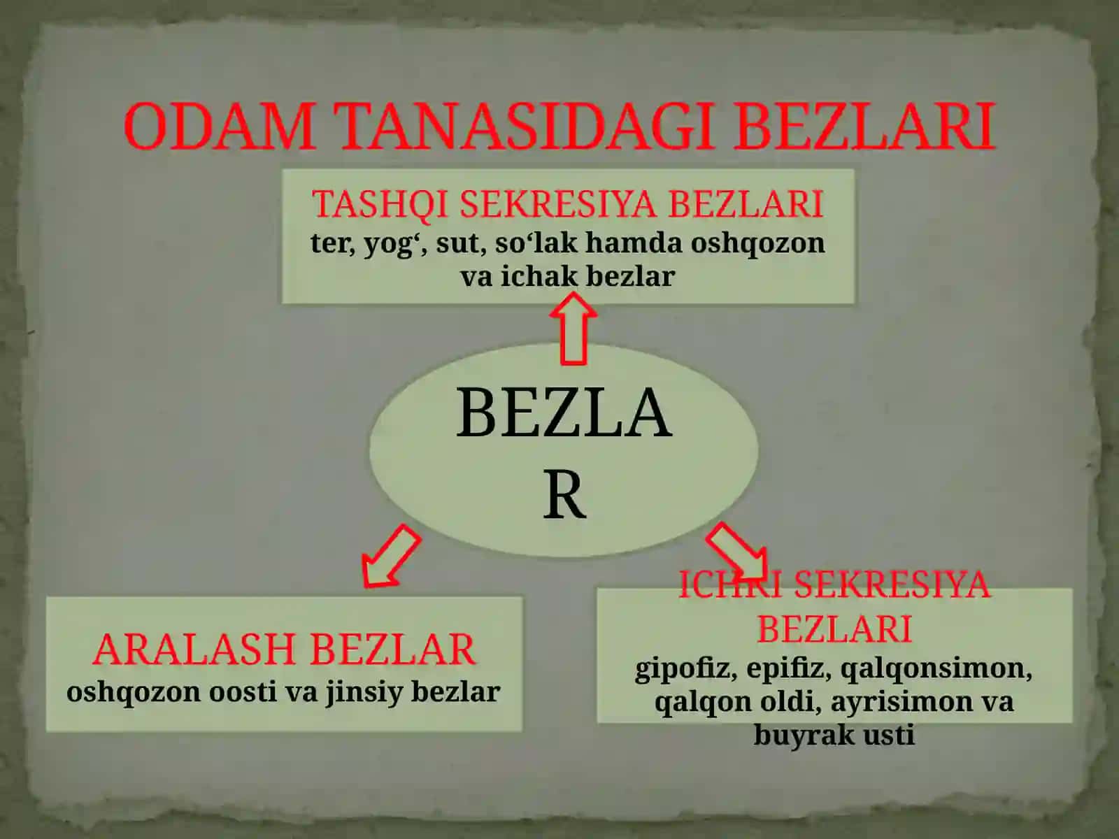 Ichki sekretsiya bazalarining yoshga doir xususiyatlari 2