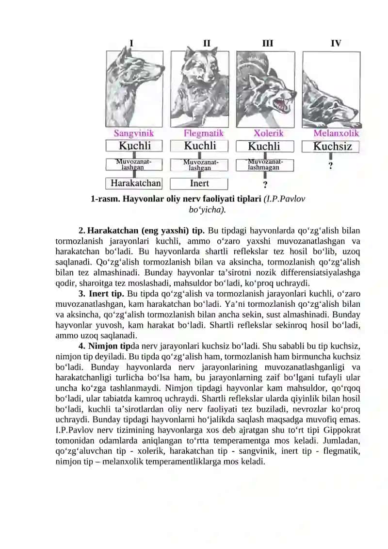 Oliy nerv faoliyatining tiplari va patologik holatlari 2