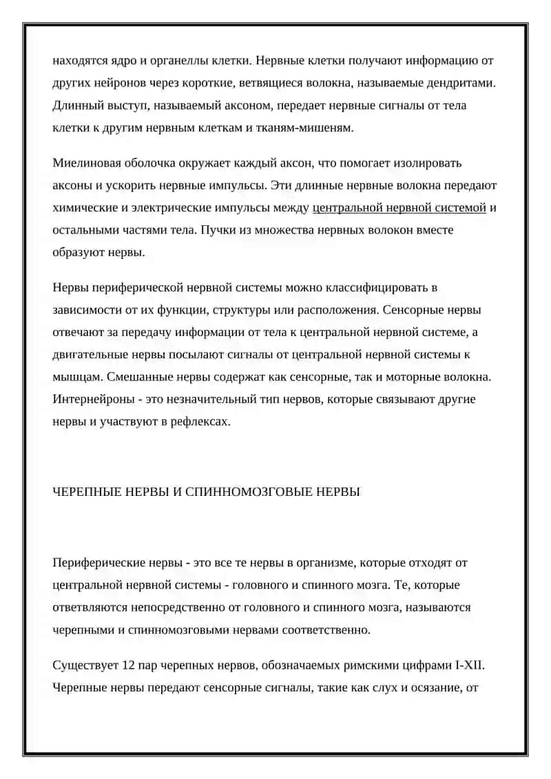 Периферическая нервная система 2