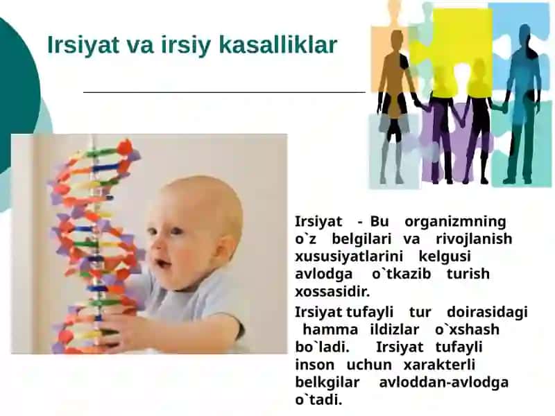 Irsiyat 2