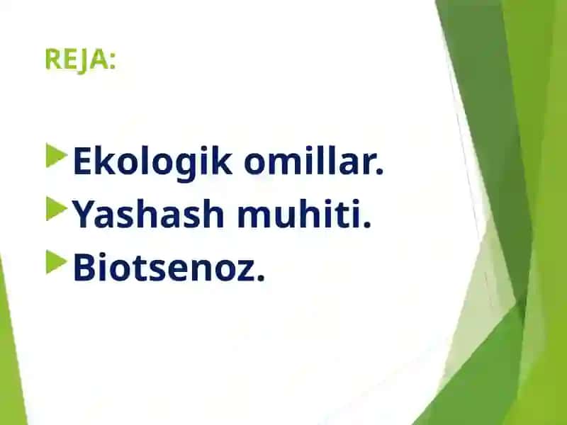 Insonvatabiat 2