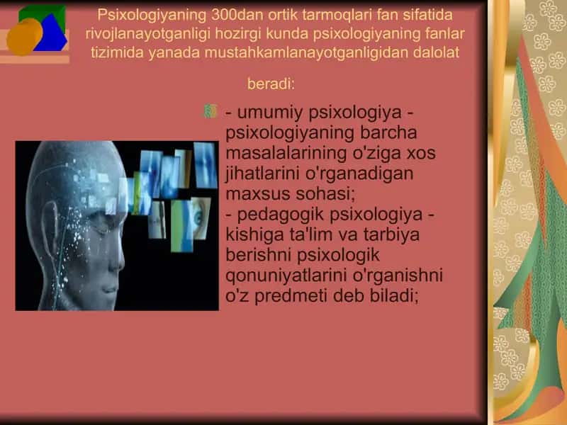 Psixologiya fanlarini o'qitish tamoyillari 2