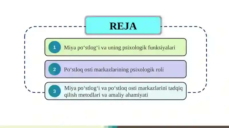 Miya po‘stlog‘i va po‘stloq osti markazlarining psixologik ahamiyati 2