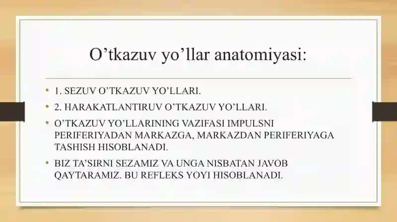 Anatomiya sezuv va harakat o'tkazuv yo'llari. 2