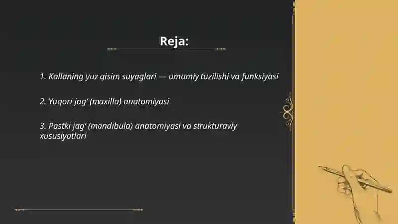 Kallaning yuz qisim suyaglari 2