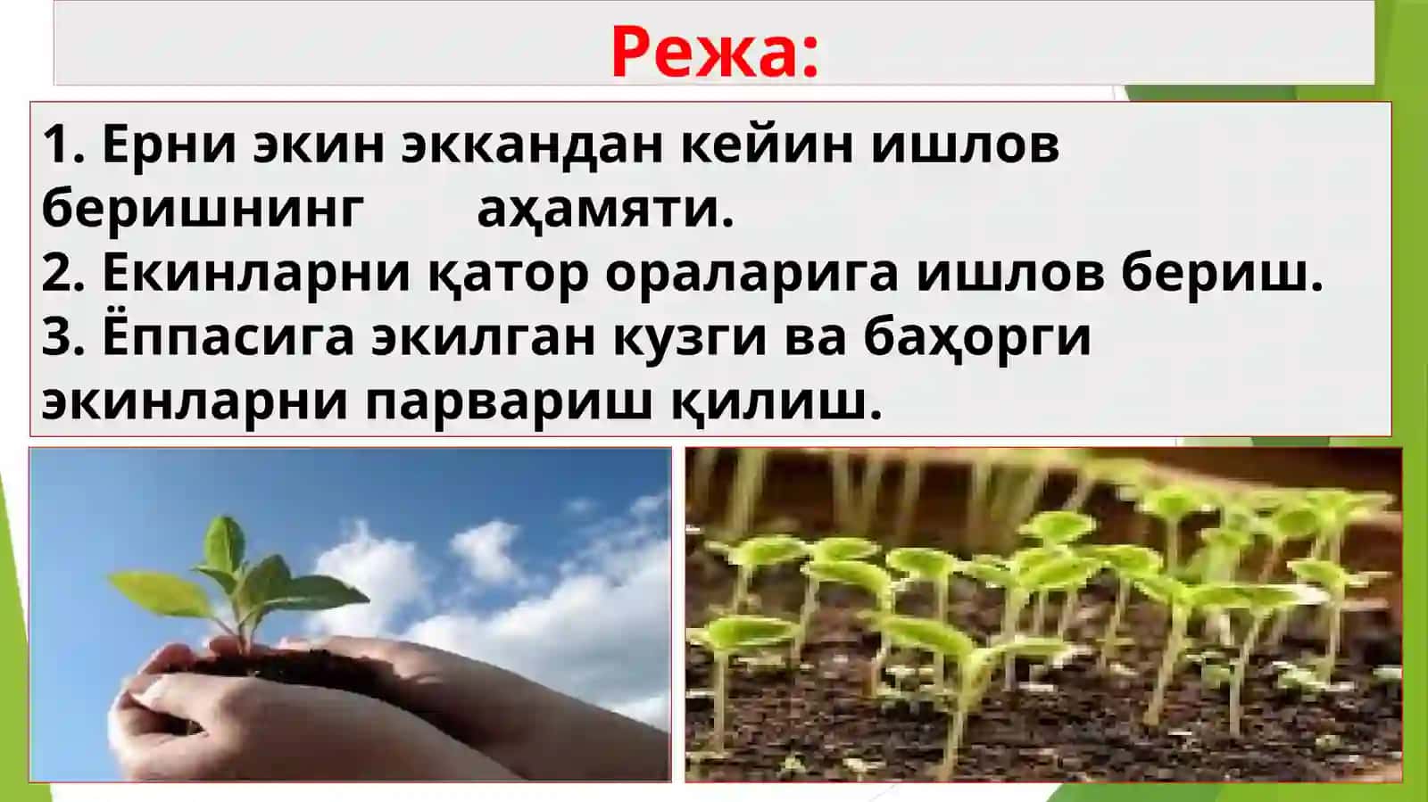 Ерга экин экишдан кейин ишлов бериш 2