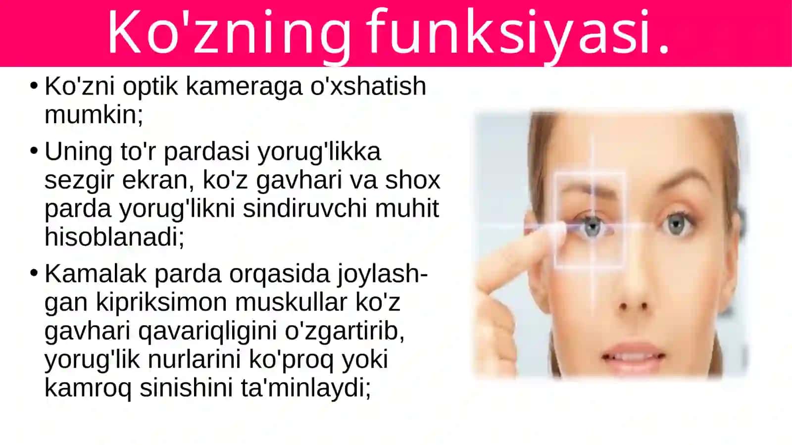 Ko'zning funksiyasi 2