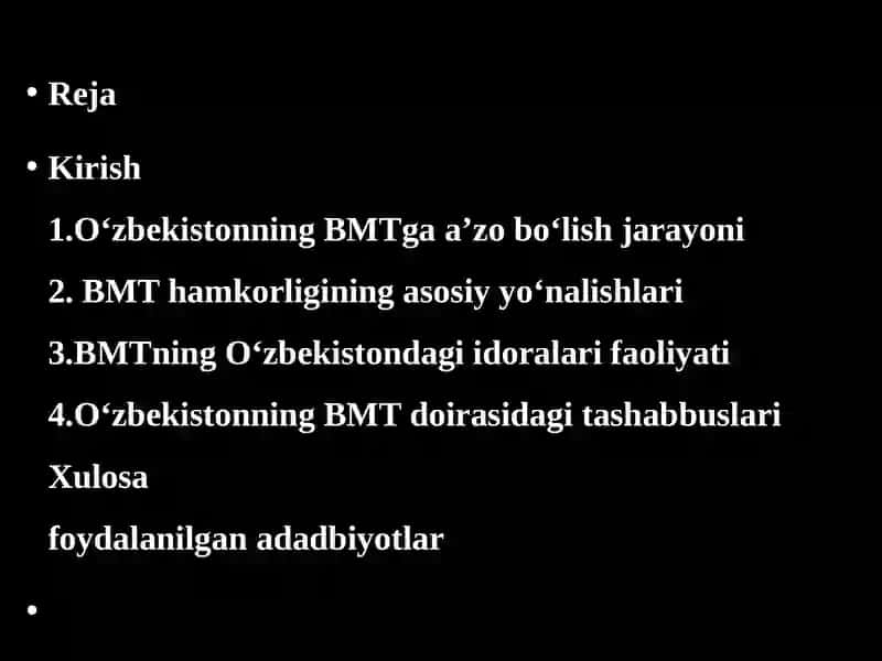 O‘ZBEKISTON – BMT HAMKORLIGI Reja 2