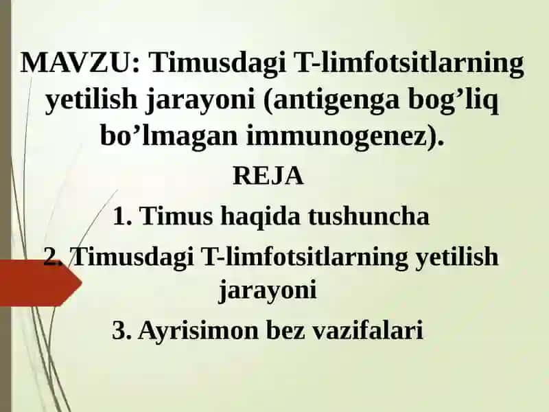 Timusdagi T-limfotsitlarning yetilish jarayoni 2