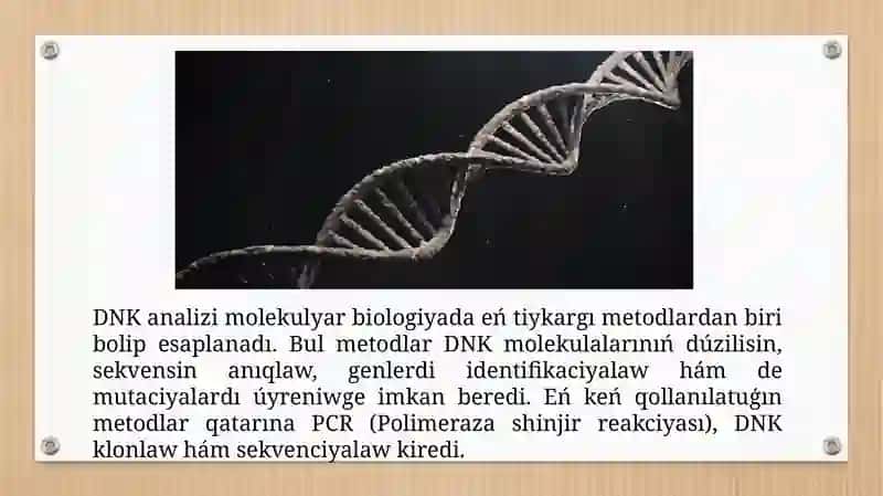 Molekulyar Biologiya Metodlari 2