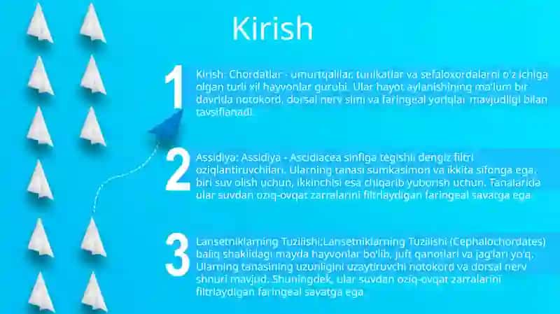 Assidiya Va Lansetniklarning Tuzilishi 2