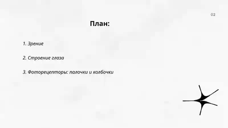 Органы чувств 2