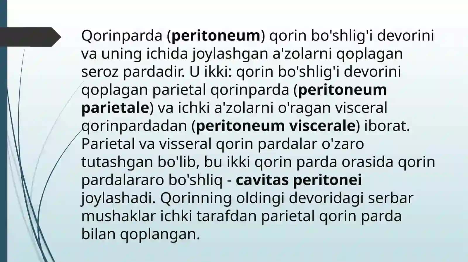 Qorin parda. Sinuslar, kanallar,qopchalar 2
