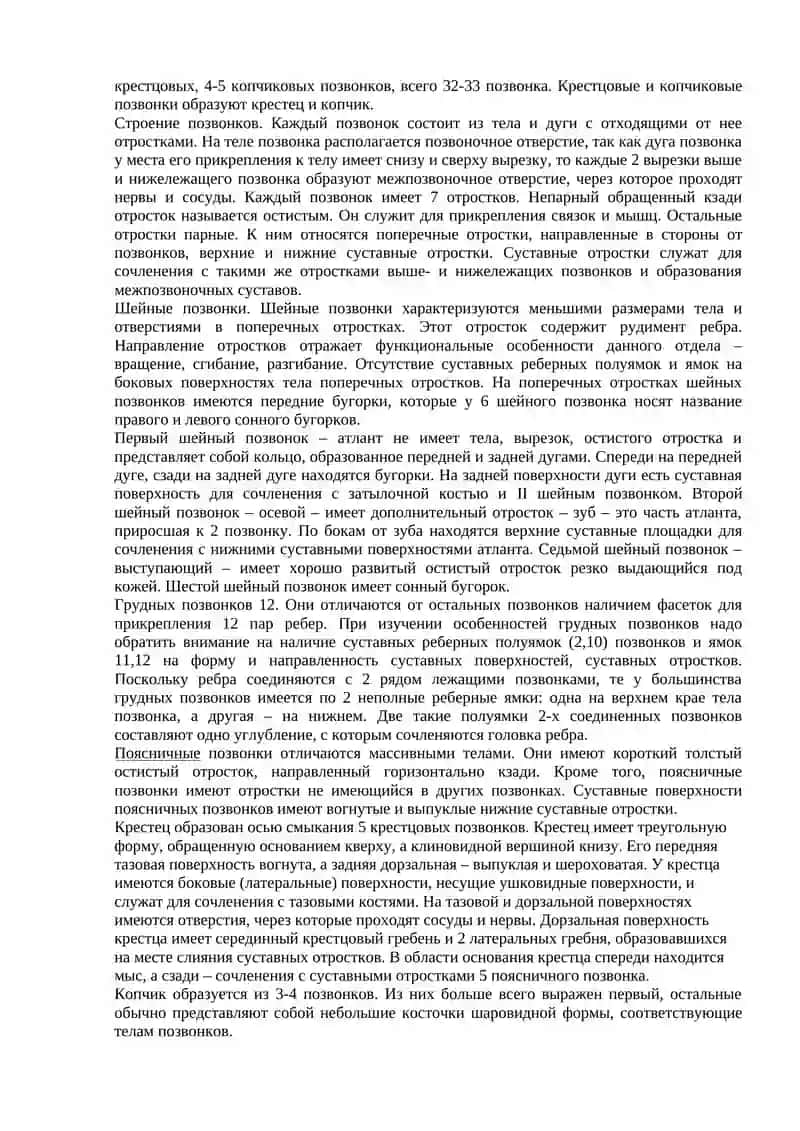 Скелет туловища. Скелет головы 2
