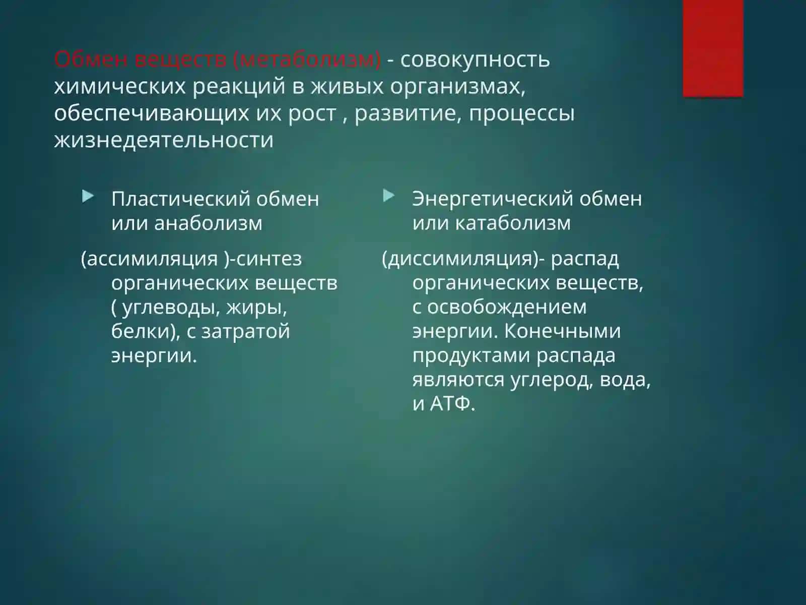 Физиология обмена веществ и энергии. Физиология терморегуляции 2